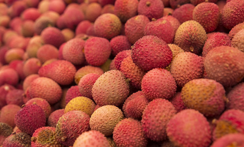 广州特产有哪些出名 广州最著名的特产排行榜