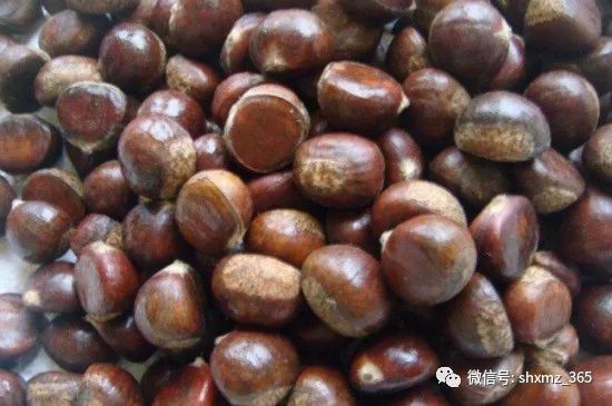 板栗怎么储藏效果最好 保存新鲜板