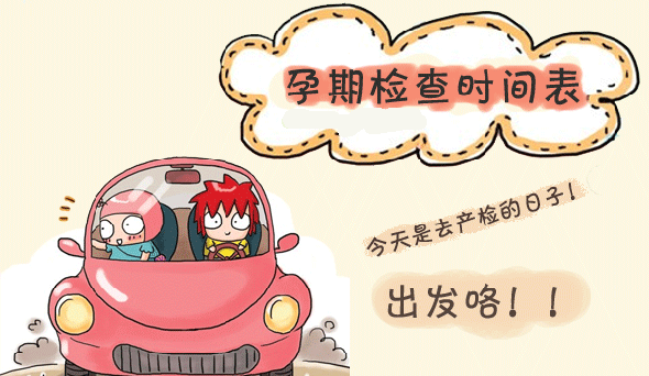 孕期检查时间及项目