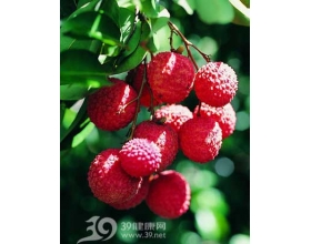 孕妇能吃荔枝吗——孕妇能不能吃荔枝