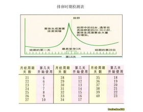 排卵试纸怎么使用 排卵试纸的使用方法和图片对