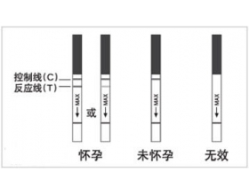 早孕试纸准吗？早孕试纸弱阳性是什么意思？