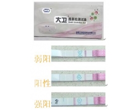 排卵试纸怎么用 排卵试纸的使用方法和图片对照
