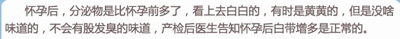 《孕妈私房话》怀孕后,阴dao分泌物变多变臭?