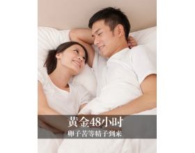 受精48小时 精子卵子在干啥
