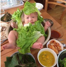 婴儿沙拉 史上最凶残的“料理”